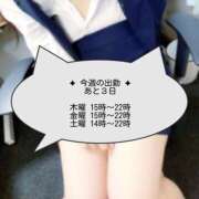 ヒメ日記 2026/06/15 19:00 投稿 高瀬みそら 社外秘 松戸支店