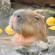 ヒメ日記 2025/12/09 10:25 投稿 桜咲みお 人妻ジャンキー