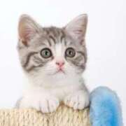 ヒメ日記 2025/12/10 14:56 投稿 真白ひより 人妻ジャンキー