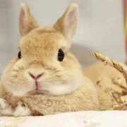 ヒメ日記 2025/12/10 19:46 投稿 神楽エリサ 人妻ジャンキー