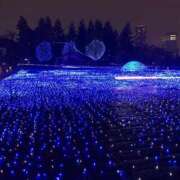 ヒメ日記 2025/12/19 12:36 投稿 新川りこ 人妻ジャンキー