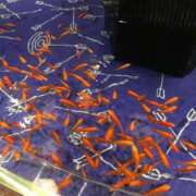 ヒメ日記 2025/12/15 15:26 投稿 香坂りお 人妻ジャンキー