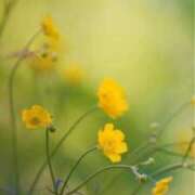 白石さゆり 遅くなったけど💦 人妻ジャンキー