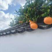 ヒメ日記 2026/01/06 22:30 投稿 ゆき 豊満倶楽部