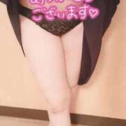 ヒメ日記 2026/02/19 19:54 投稿 ゆき 豊満倶楽部