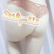 ヒメ日記 2026/03/16 08:00 投稿 ゆき 豊満倶楽部