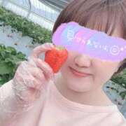 ヒメ日記 2026/03/31 15:20 投稿 ゆき 豊満倶楽部