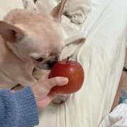 ヒメ日記 2025/12/22 08:43 投稿 いずみ 美人妻・素人ミッドタウン