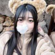 ヒメ日記 2025/12/21 07:29 投稿 ろあ 帯広黒い金魚