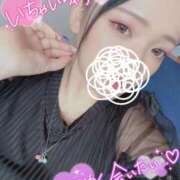 ヒメ日記 2025/12/15 15:30 投稿 ほむら ピーチハニー