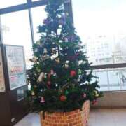 ヒメ日記 2025/12/11 11:53 投稿 みずき 宇都宮ムンムン熟女妻