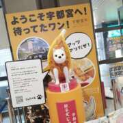 ヒメ日記 2025/12/11 13:08 投稿 みずき 宇都宮ムンムン熟女妻