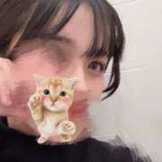 ヒメ日記 2025/12/23 19:59 投稿 なぎ スピードエコ日本橋店