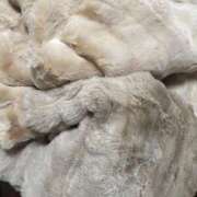 ヒメ日記 2025/12/23 15:12 投稿 雪村みお(ゆきむらみお) 東京ヒストリー　秘密の約束