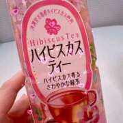 つき ハイビスカスって。。 天使のゆびさき 船橋店(カサブランカグループ)