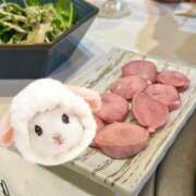 つき 寝不足?? 天使のゆびさき 船橋店(カサブランカグループ)