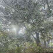 ヒメ日記 2026/04/01 08:12 投稿 ちとせ 大和人妻城