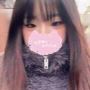 ヒメ日記 2025/12/16 14:58 投稿 さき 白いぽっちゃりさん