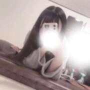 ヒメ日記 2026/04/19 01:41 投稿 あん 吸い付くフェラでご奉仕 L＆Jブラザーズ