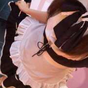 ヒメ日記 2026/04/19 19:53 投稿 あん 吸い付くフェラでご奉仕 L＆Jブラザーズ