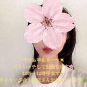 ノア いい天気だね〜☀️ banana heaven spa(バナナヘブンスパ)