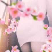 ヒメ日記 2026/03/01 09:45 投稿 かんな 五反田・品川おかあさん