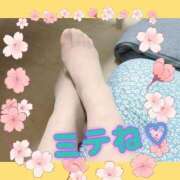 ヒメ日記 2026/03/17 17:11 投稿 かんな 五反田・品川おかあさん