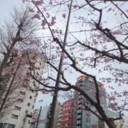 ヒメ日記 2026/04/09 10:43 投稿 かんな 五反田・品川おかあさん