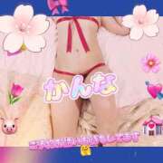 ヒメ日記 2026/04/12 09:47 投稿 かんな 五反田・品川おかあさん