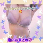ヒメ日記 2026/08/02 10:53 投稿 かんな 五反田・品川おかあさん