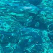 ヒメ日記 2026/01/30 16:15 投稿 すい ぐっすり山田 横浜店