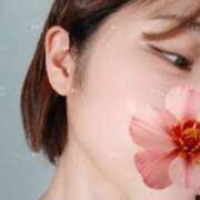 ヒメ日記 2026/03/09 05:05 投稿 すい ぐっすり山田 横浜店