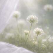 ヒメ日記 2026/03/19 14:55 投稿 すい ぐっすり山田 横浜店