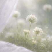 ヒメ日記 2026/03/24 19:55 投稿 すい ぐっすり山田 横浜店