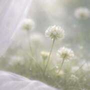 ヒメ日記 2026/03/27 18:25 投稿 すい ぐっすり山田 横浜店