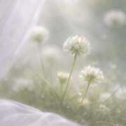 ヒメ日記 2026/03/31 21:05 投稿 すい ぐっすり山田 横浜店