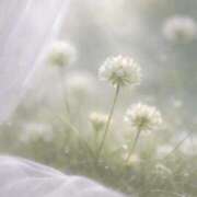 ヒメ日記 2026/04/14 11:05 投稿 すい ぐっすり山田 横浜店