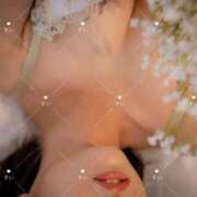 ヒメ日記 2026/04/15 09:35 投稿 すい ぐっすり山田 横浜店