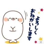 ヒメ日記 2026/02/14 15:16 投稿 さくら 足利スチームバスセンター