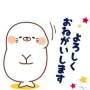 ヒメ日記 2026/02/23 15:46 投稿 さくら 足利スチームバスセンター