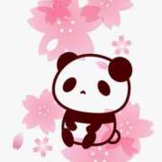 ヒメ日記 2026/04/12 23:01 投稿 さくら 足利ソープ SBC