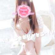 ヒメ日記 2026/02/17 09:01 投稿 ゆうか 足利スチームバスセンター