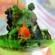 ヒメ日記 2026/02/04 17:01 投稿 あかね 足利スチームバスセンター