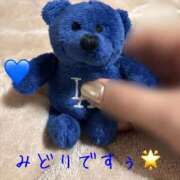 ヒメ日記 2026/02/12 21:16 投稿 みどり 足利スチームバスセンター