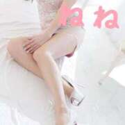 ヒメ日記 2026/02/12 10:46 投稿 ねね 足利スチームバスセンター