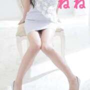 ヒメ日記 2026/02/20 22:31 投稿 ねね 足利スチームバスセンター