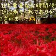 ヒメ日記 2026/09/27 07:46 投稿 じゅり 足利ソープ SBC