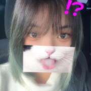 ヒメ日記 2026/02/28 10:44 投稿 ゆうか ロイヤルヴィトン(宇都宮)