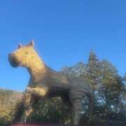 ヒメ日記 2026/01/04 15:06 投稿 みさき ここ恋