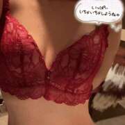 ヒメ日記 2026/03/15 00:58 投稿 あおい【大人女子】 Select(セレクト)